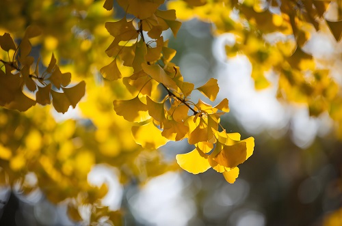 立秋｜萬(wàn)物有時(shí)，生態(tài)有序——與自然共赴一場(chǎng)「秋收之約」